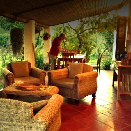 La Corte Delle Rose B&B Praia a Mare Ngoại thất bức ảnh