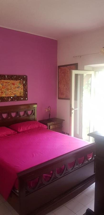 La Corte Delle Rose B&B Praia a Mare Ngoại thất bức ảnh