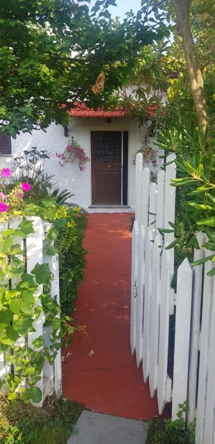 La Corte Delle Rose B&B Praia a Mare Ngoại thất bức ảnh