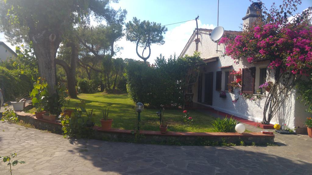 La Corte Delle Rose B&B Praia a Mare Ngoại thất bức ảnh