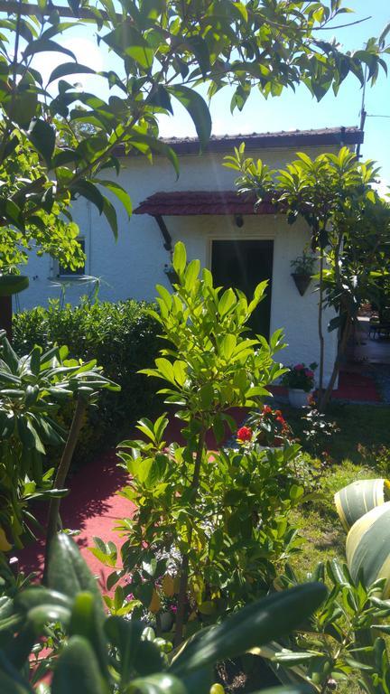 La Corte Delle Rose B&B Praia a Mare Ngoại thất bức ảnh