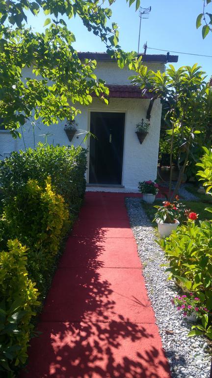 La Corte Delle Rose B&B Praia a Mare Ngoại thất bức ảnh