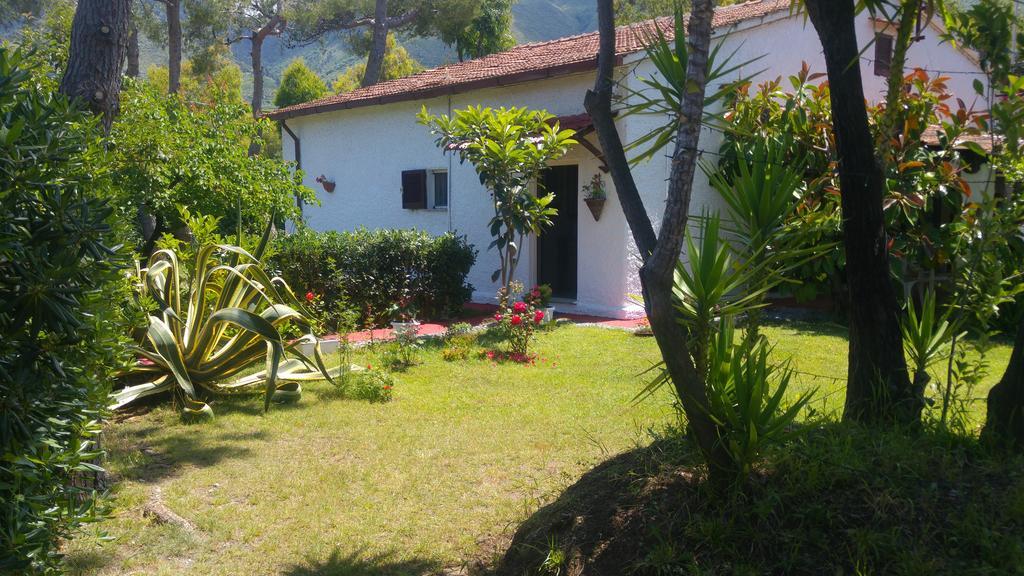 La Corte Delle Rose B&B Praia a Mare Ngoại thất bức ảnh