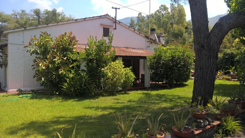 La Corte Delle Rose B&B Praia a Mare Ngoại thất bức ảnh