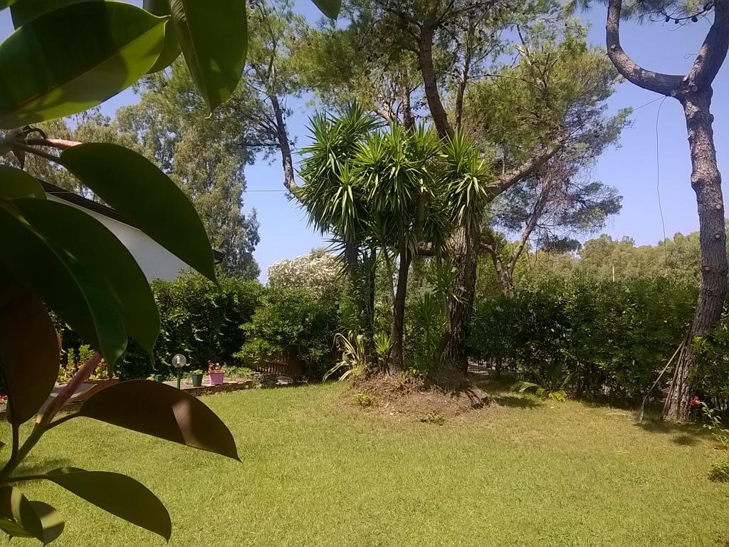 La Corte Delle Rose B&B Praia a Mare Ngoại thất bức ảnh