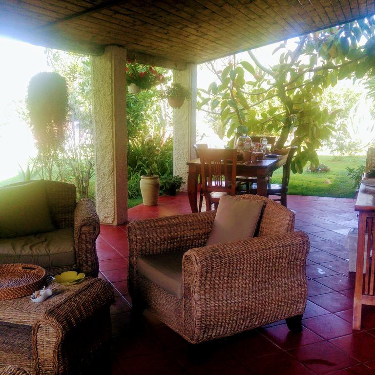 La Corte Delle Rose B&B Praia a Mare Ngoại thất bức ảnh
