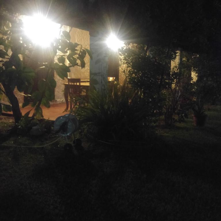 La Corte Delle Rose B&B Praia a Mare Ngoại thất bức ảnh